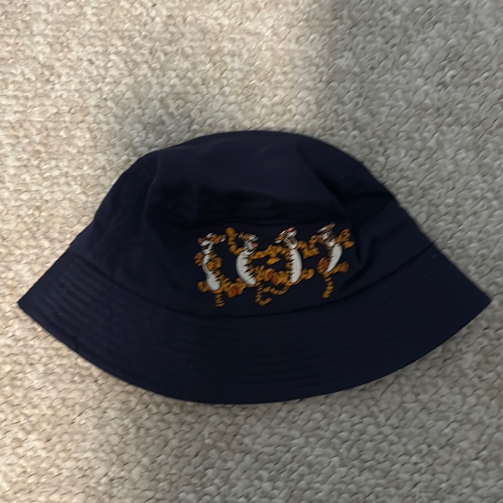 Tigger Hat